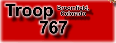 Troop 767 logo